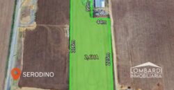 Se venden 2,6 Has. industriales sobre Ruta N°91 en Serodino.