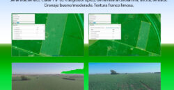 Se vende Campo en Oliveros (La Ribera) de 44has a metros de la Autopista Rosario-Santa Fe