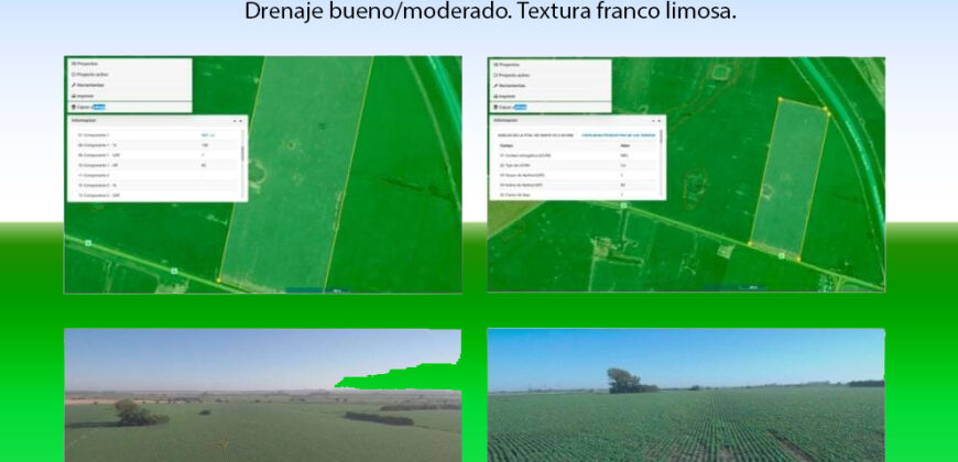 Se vende Campo en Oliveros (La Ribera) de 44has a metros de la Autopista Rosario-Santa Fe