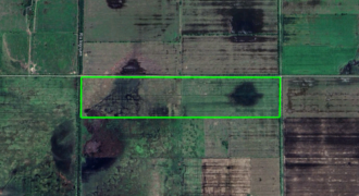 Se venden 34 Has. de campo mixto en Irigoyen.