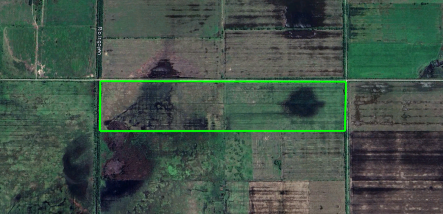 Se venden 34 Has. de campo mixto en Irigoyen.