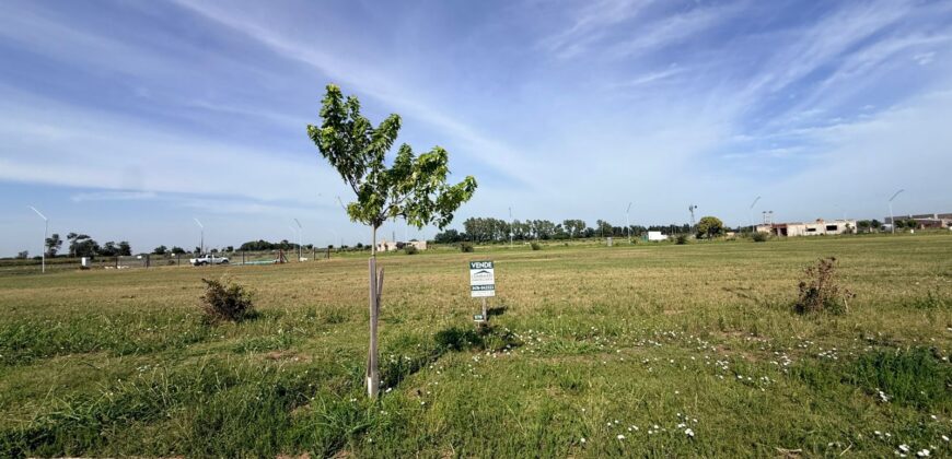 Se vende terreno en Ecotierra de Pueblo Esther