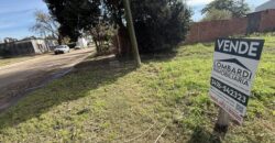 Se venden 2 terrenos juntos o separados en Serodino.