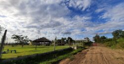 Se venden 1,76 ha Suburbanas en Zona de Termas de Victoria