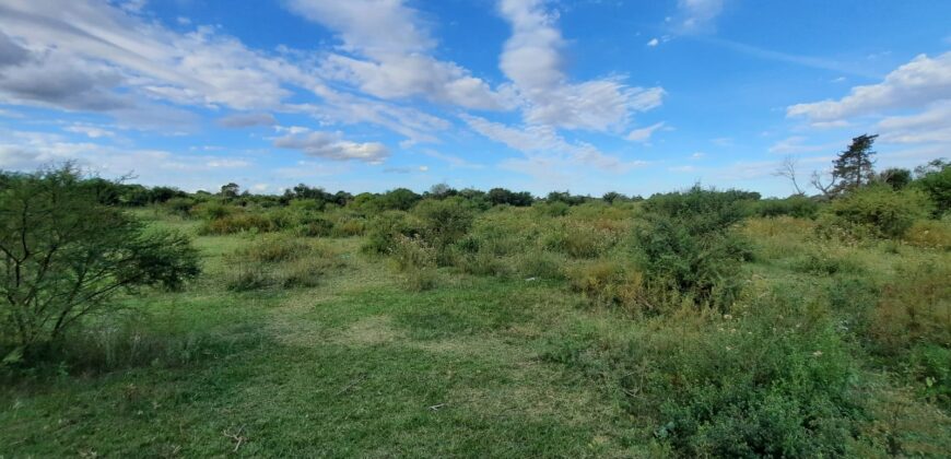 Se venden 1,76 ha Suburbanas en Zona de Termas de Victoria