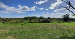 Se vende 1,6 has rurales en San Lorenzo a 300m del Acceso Centro de la Autopista Ros-Sta Fe.