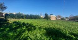 Se vende casa en Serodino con terreno de 3.640 m2.