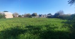 Se vende casa en Serodino con terreno de 3.640 m2.