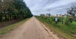 Se Vende terreno en Serodino