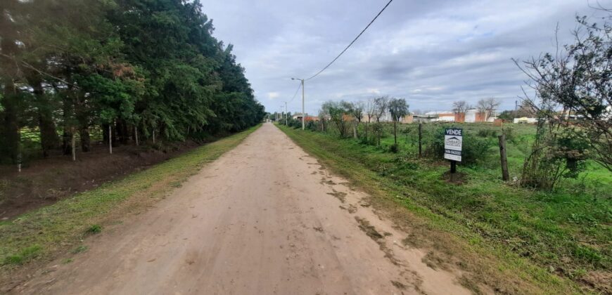 Se Vende terreno en Serodino