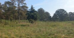 Se Venden 18 HA a orillas del Río Carcarañá.