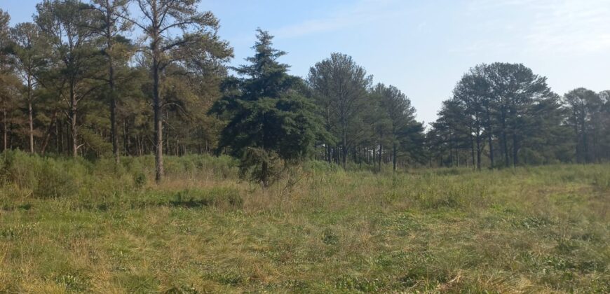 Se Venden 18 HA a orillas del Río Carcarañá.