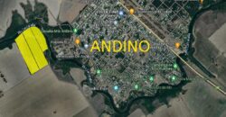 Se Venden 18 HA a orillas del Río Carcarañá.