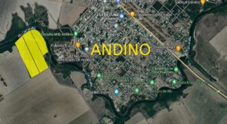 Se Venden 18 HA a orillas del Río Carcarañá.