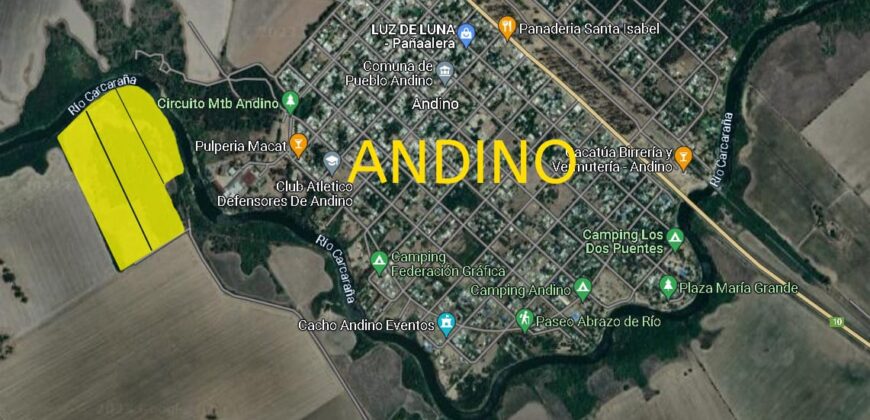 Se Venden 18 HA a orillas del Río Carcarañá.