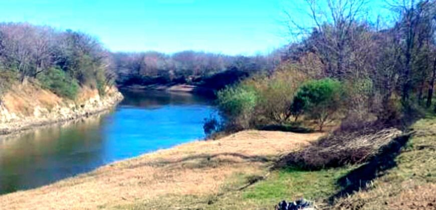 Se Venden 18 HA a orillas del Río Carcarañá.
