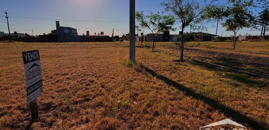 Terrenos a la Venta en Belvedere